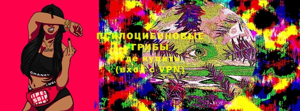 a pvp Краснослободск