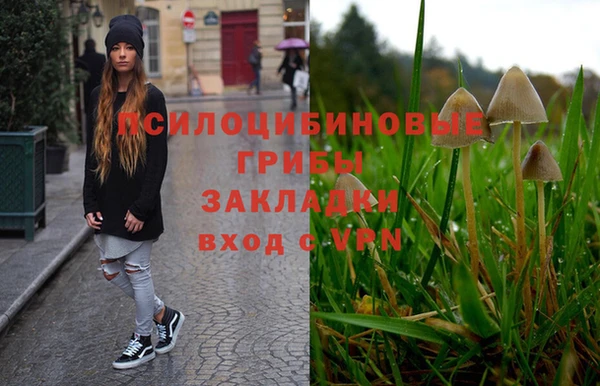 крисы Кукмор