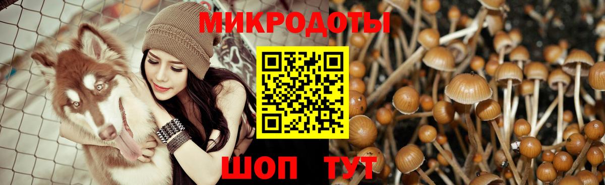 наркошоп  Галлюциногенные грибы ЛСД  Сургут  Вход с VPN  Псилоцибиновые грибы Psilocybine cubensis 